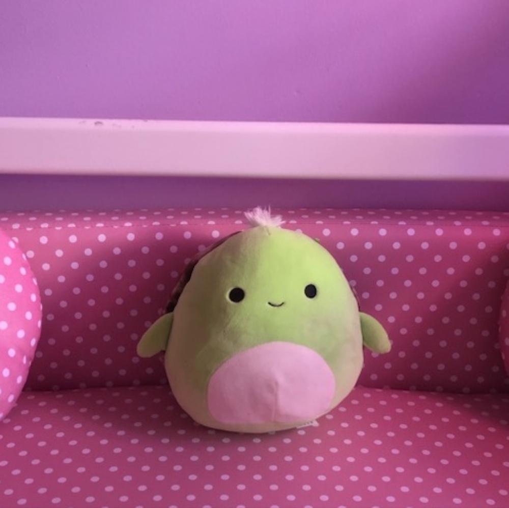 Turtle squishmallow